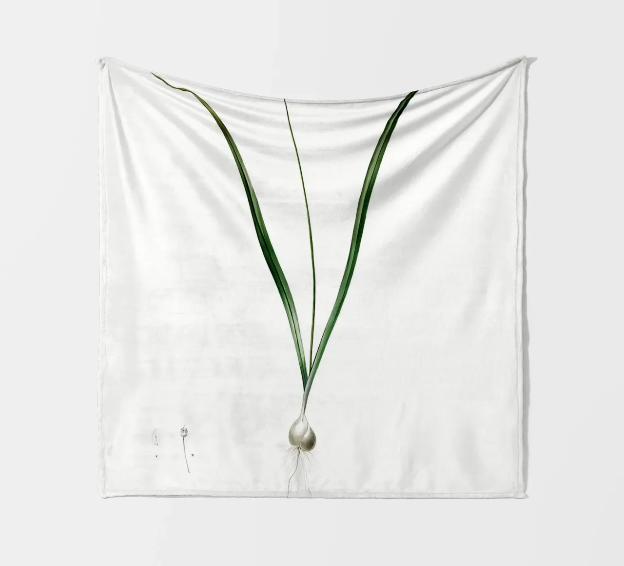 Liliaceae 1805 HQ Orig coperta in pile da Nicholas Campbell