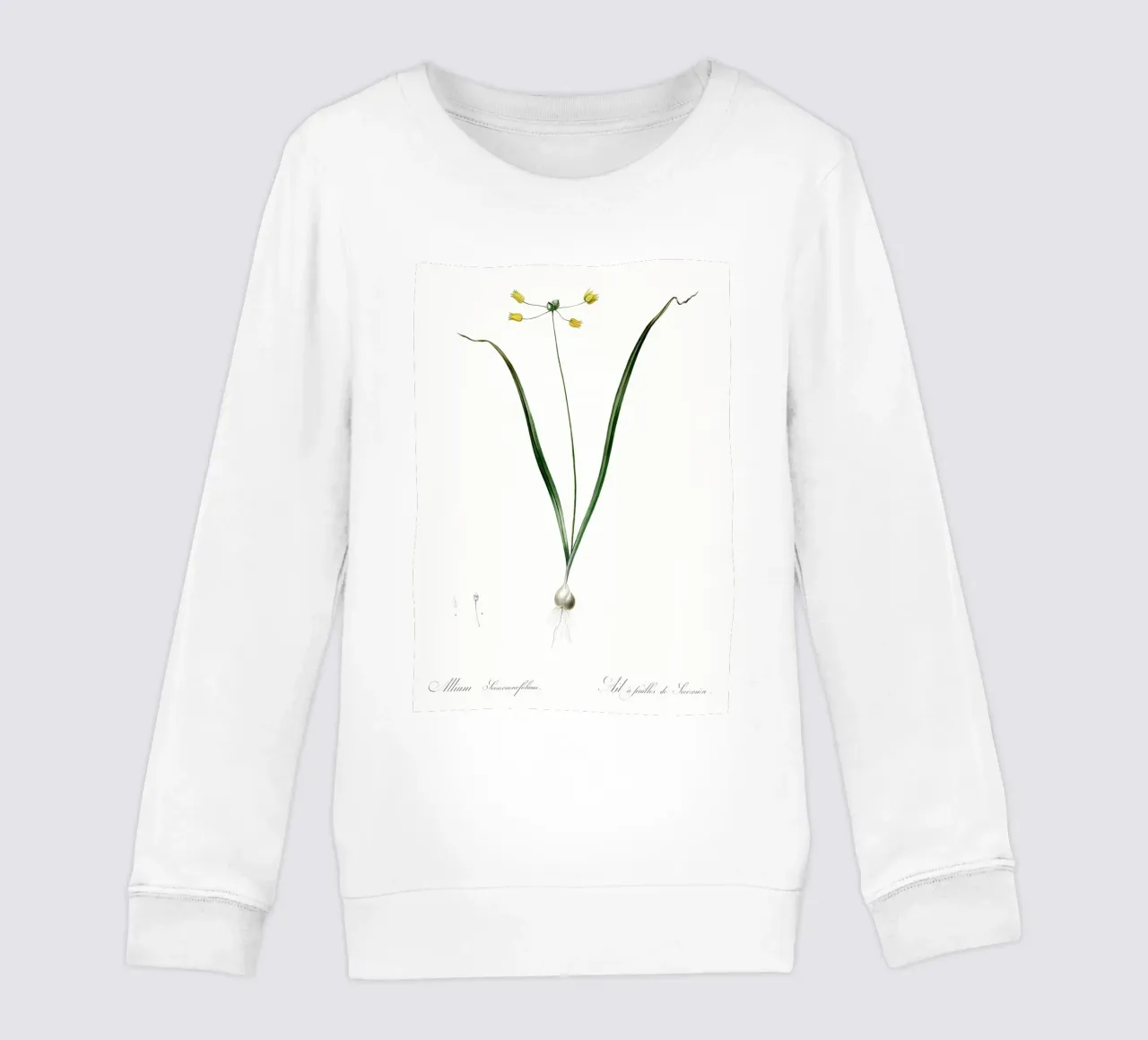 Liliaceae 1805 HQ Orig felpa bambino da Nicholas Campbell