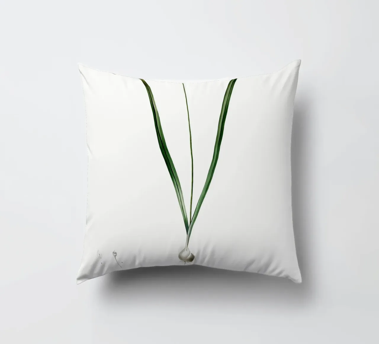 Liliaceae 1805 HQ Orig cuscino da Nicholas Campbell