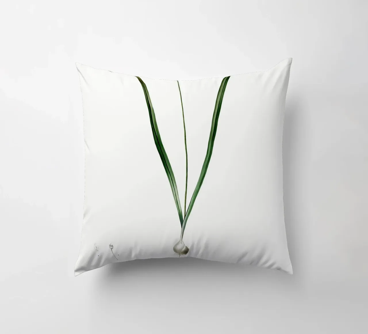 Liliaceae 1805 HQ Orig cuscino da Nicholas Campbell