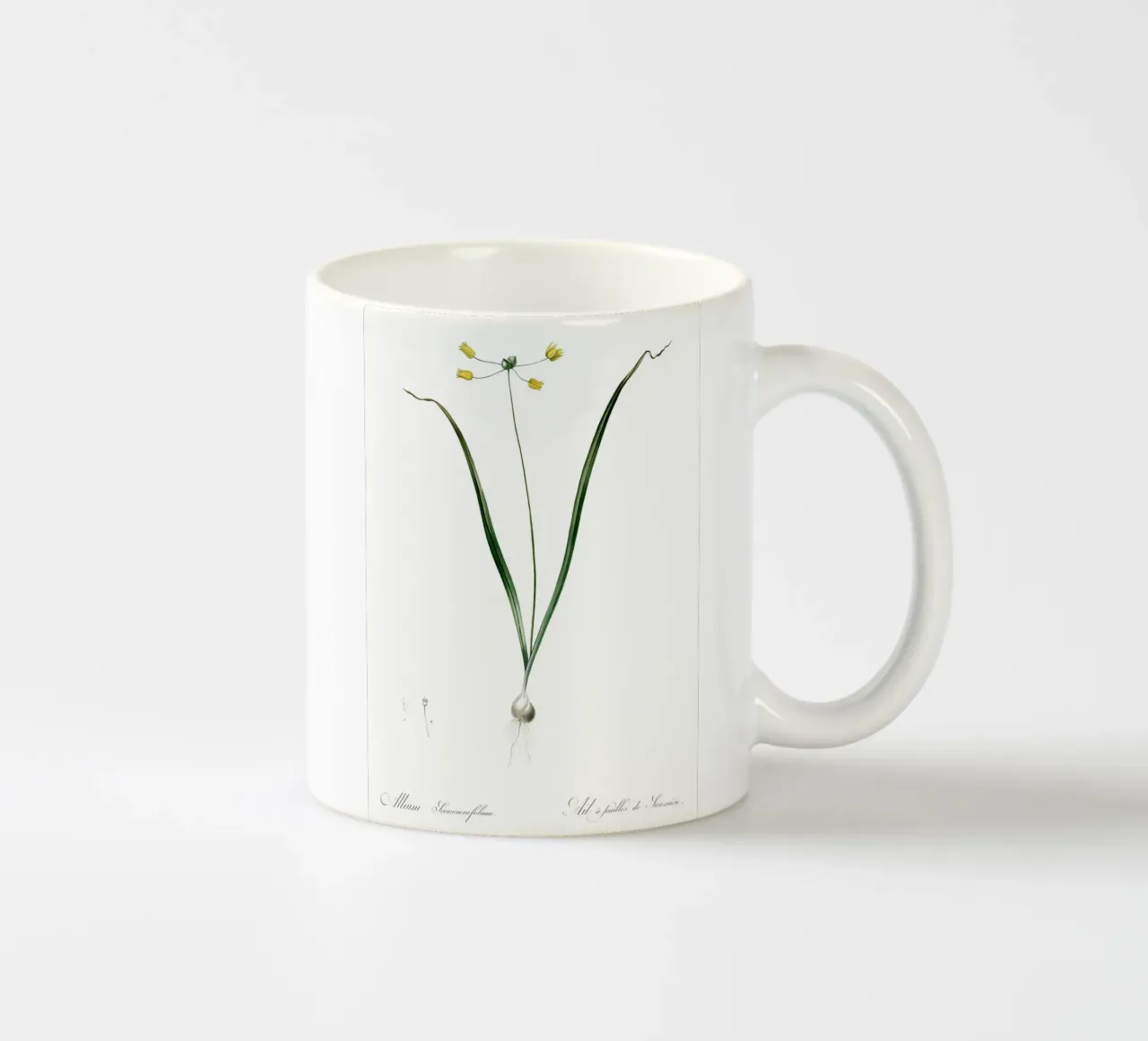 Liliaceae 1805 HQ Orig tazza in ceramica da Nicholas Campbell