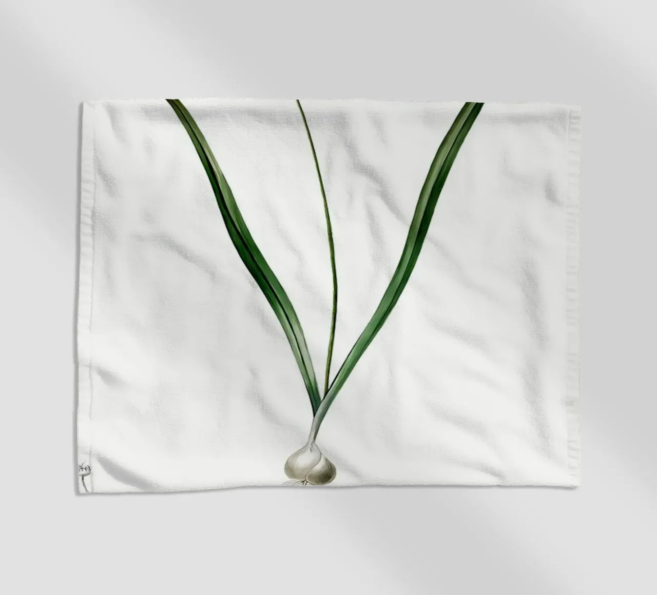 Liliaceae 1805 HQ Orig telo mare da Nicholas Campbell