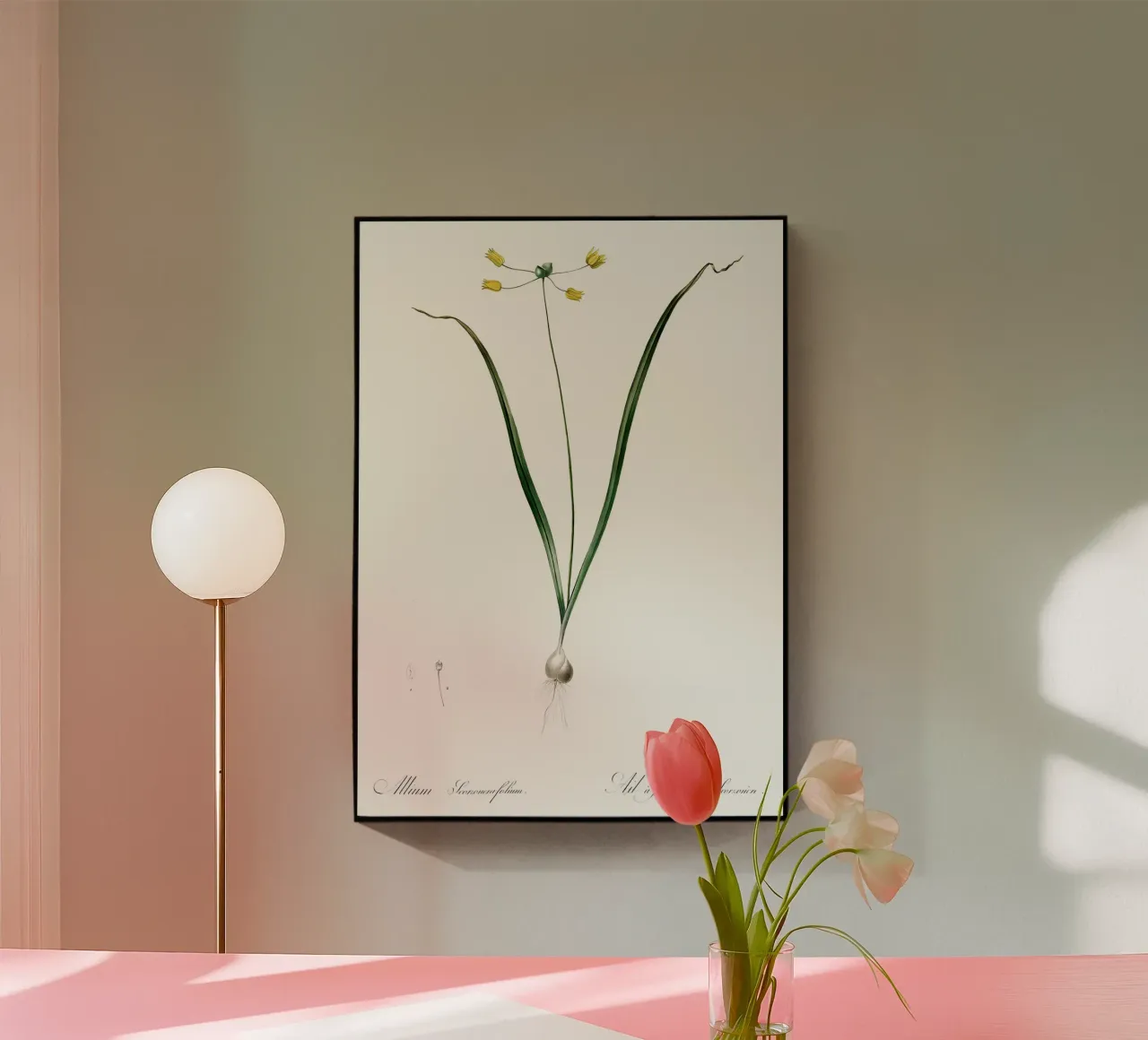 Liliaceae 1805 HQ Orig plexiglass da Nicholas Campbell