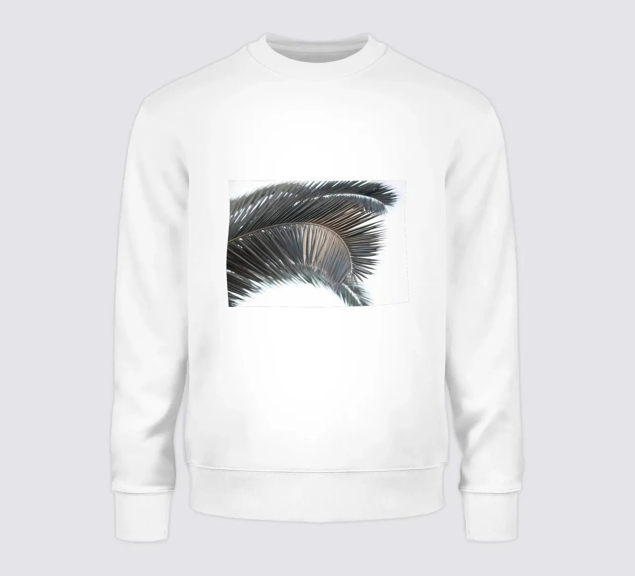 Hojas de palmera al atardecer 1 sudadera de Matthew Katz