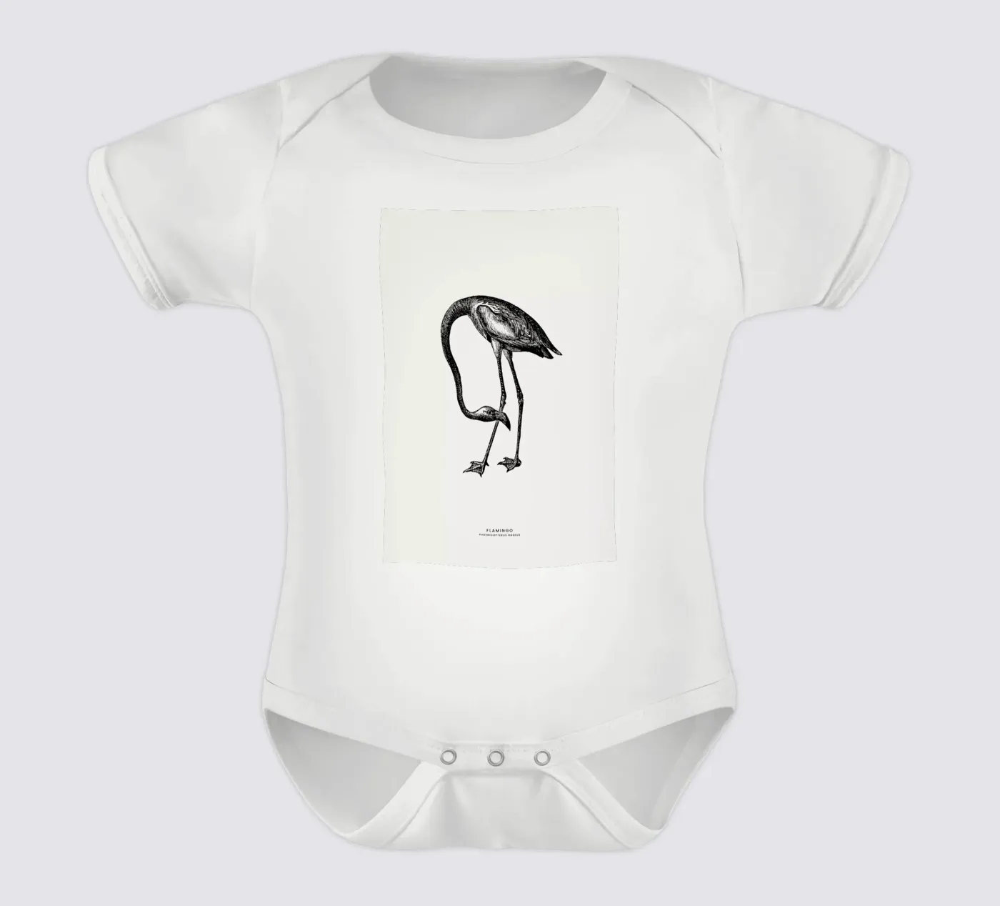 Flamingo body bébé de Flora & Fauna