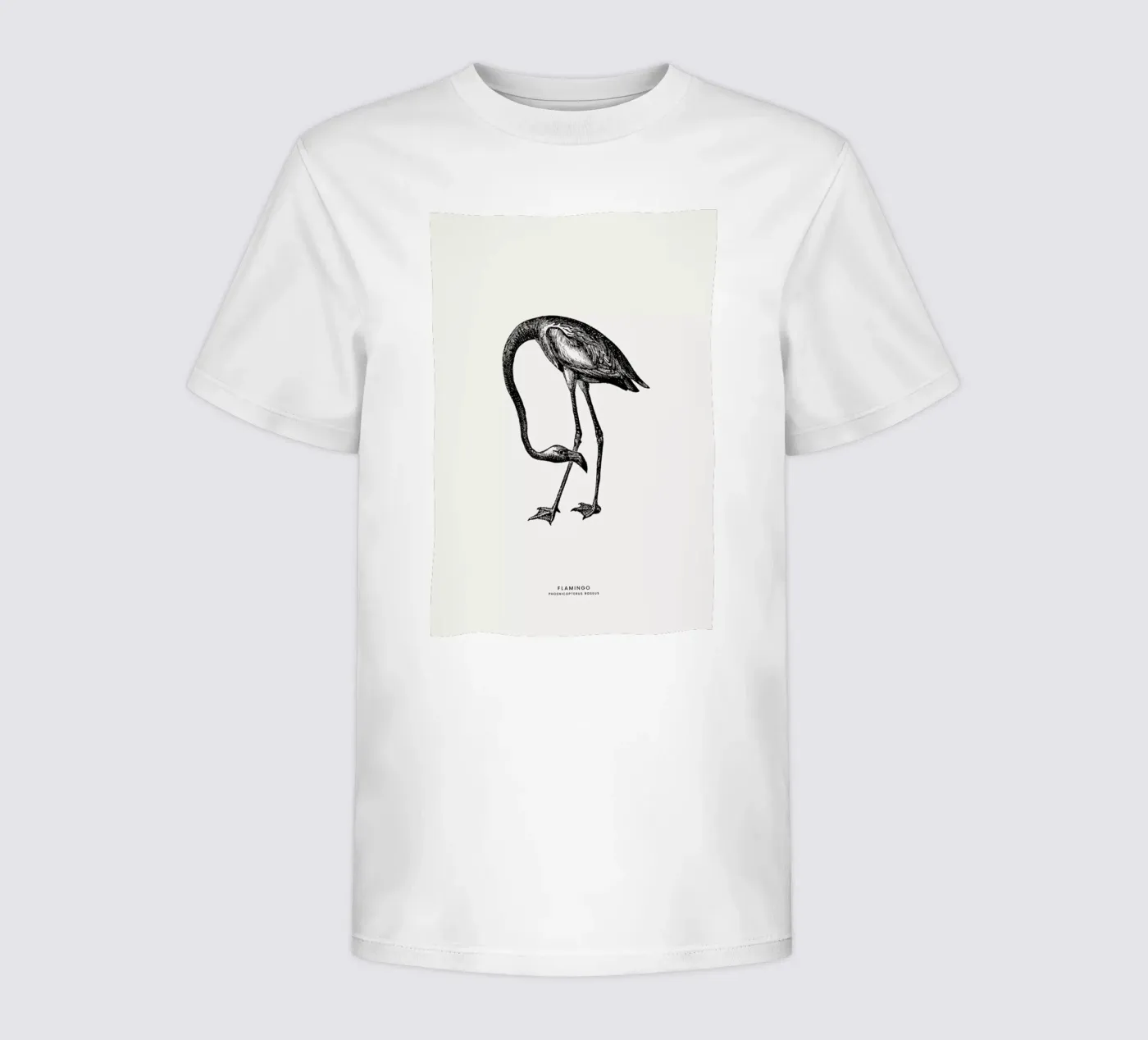 Flamingo t-shirt bambini da Flora & Fauna