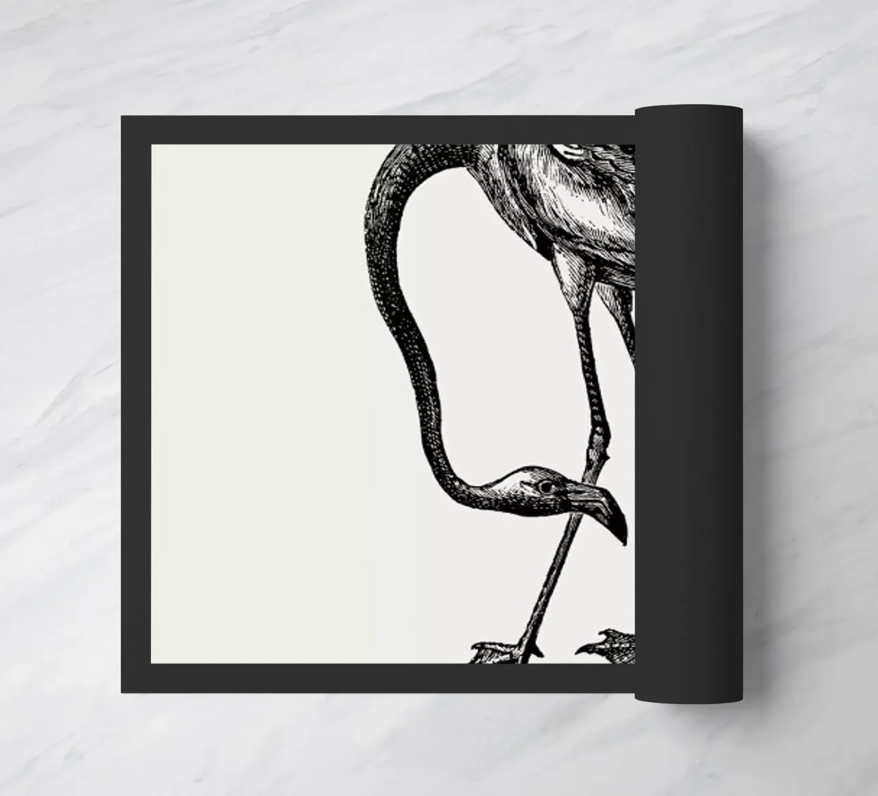 Flamingo zerbino da Flora & Fauna