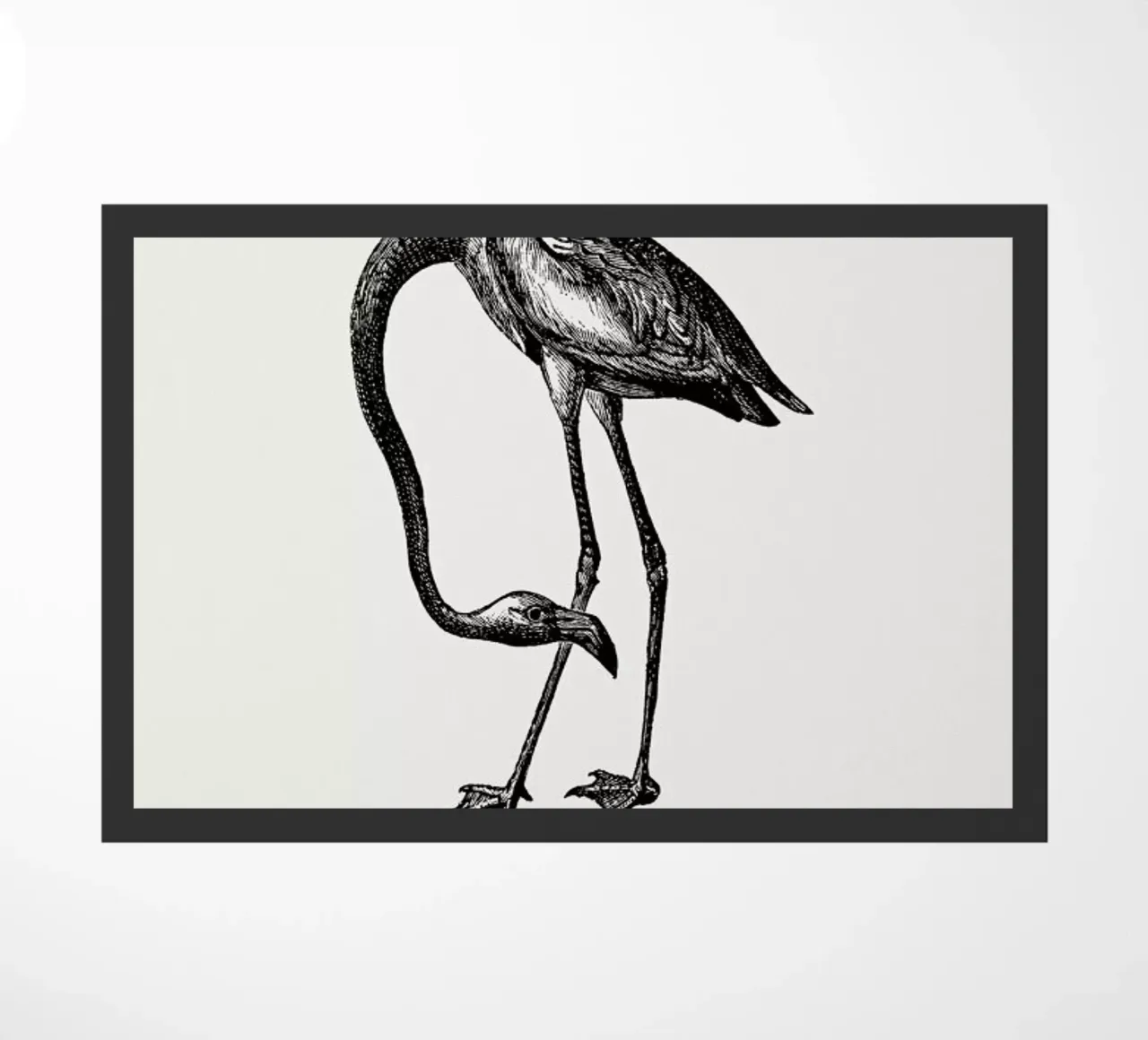 Flamingo zerbino da Flora & Fauna