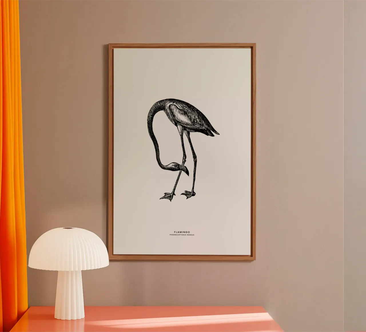 Flamingo forex plate by Flora & Fauna