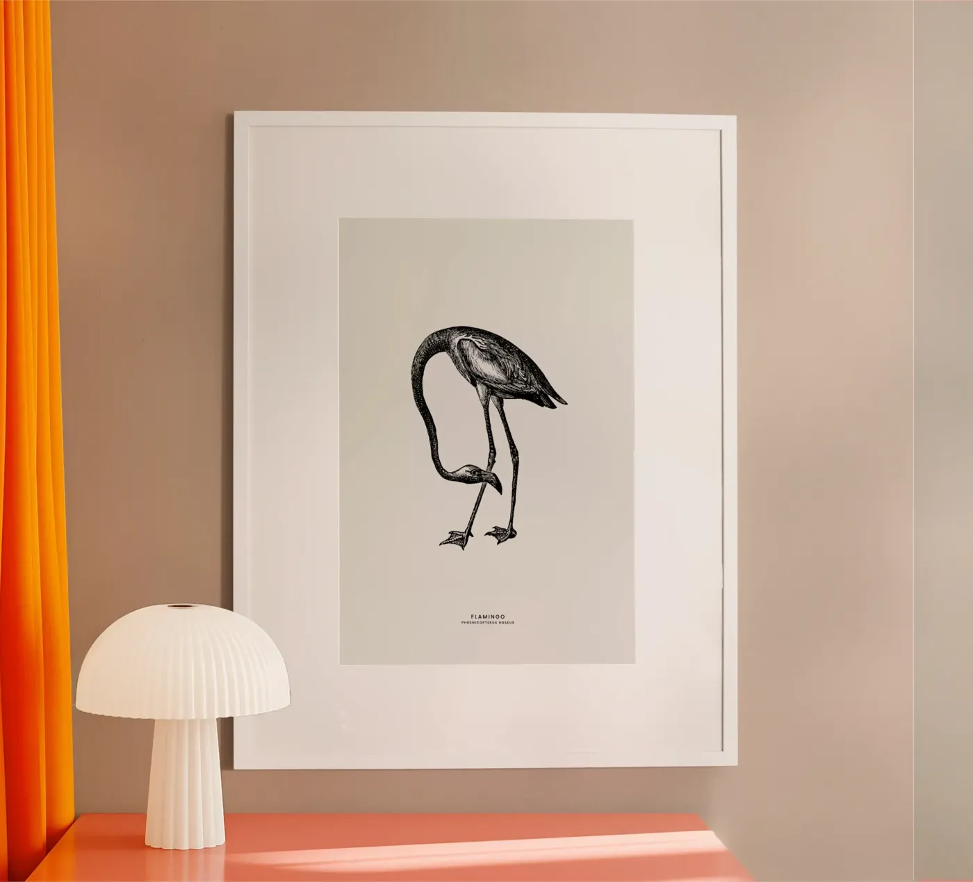 Flamingo poster da Flora & Fauna