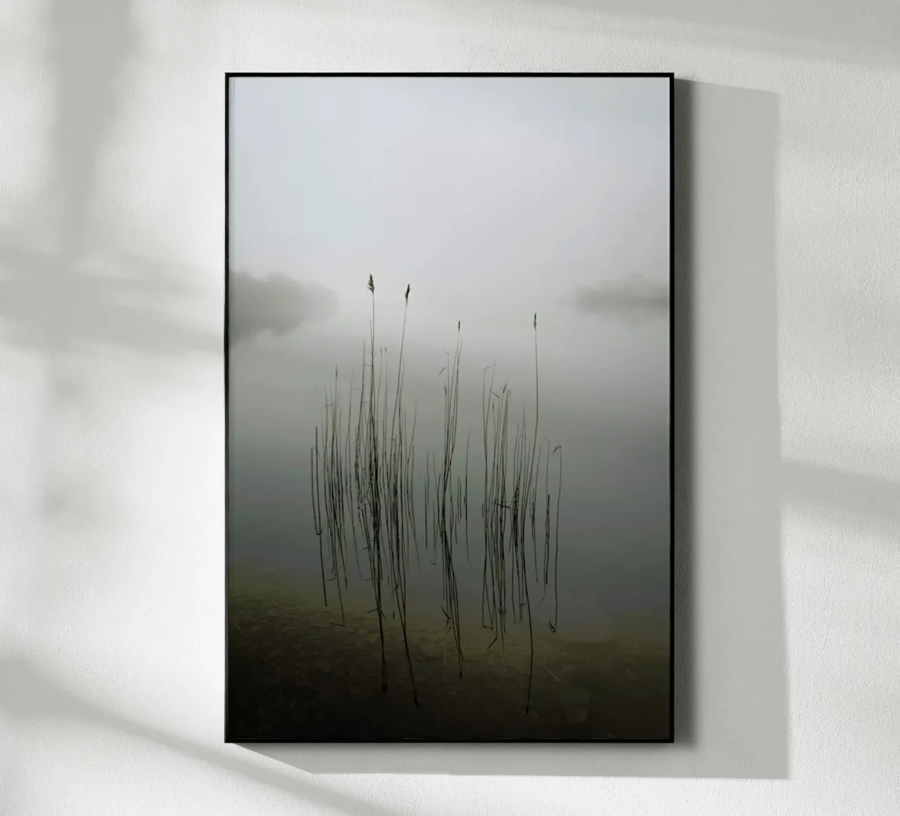 Reeds in The Mist - David Ahern plexiglass da Pictufy