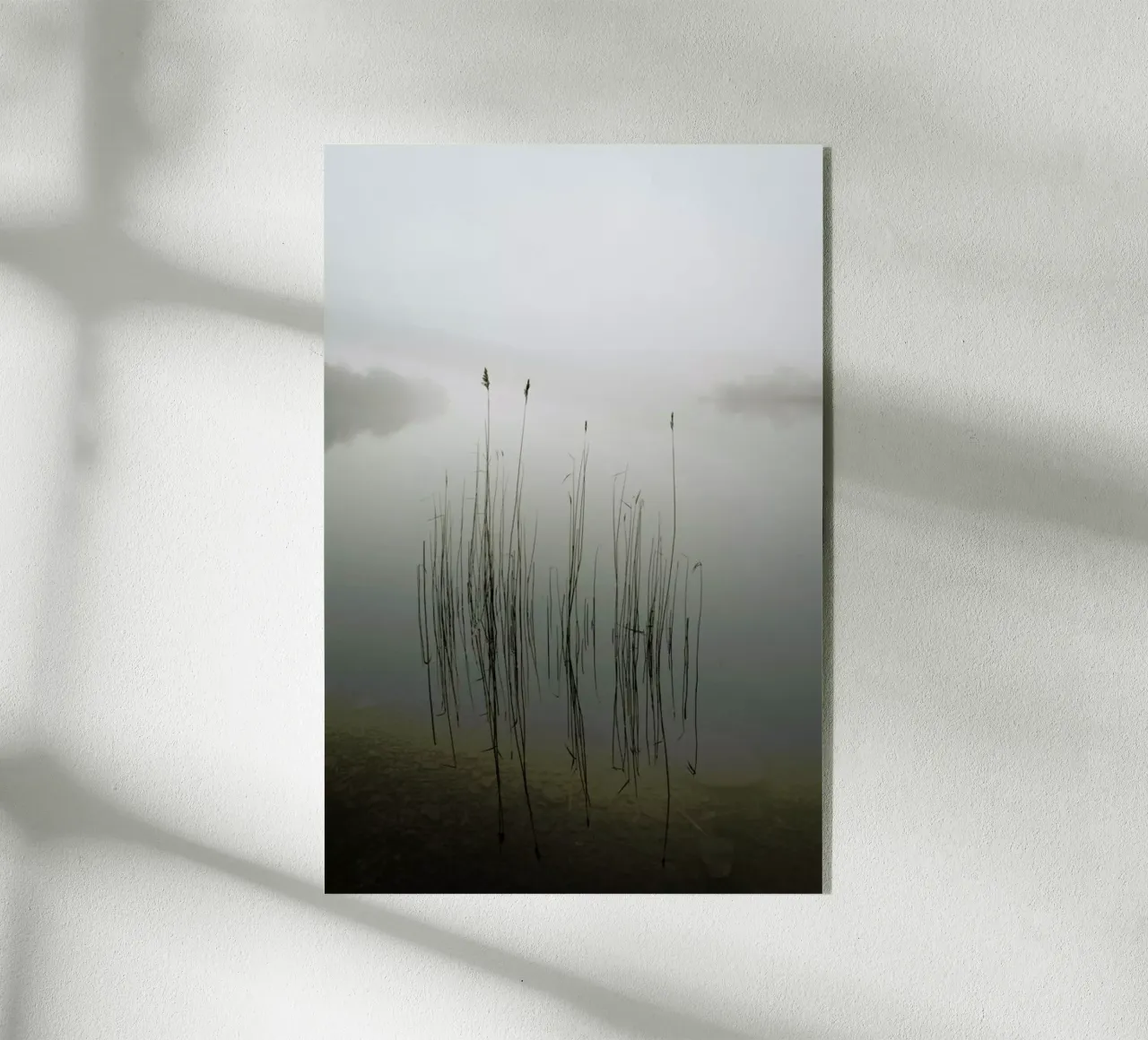 Reeds in The Mist - David Ahern plexiglass da Pictufy