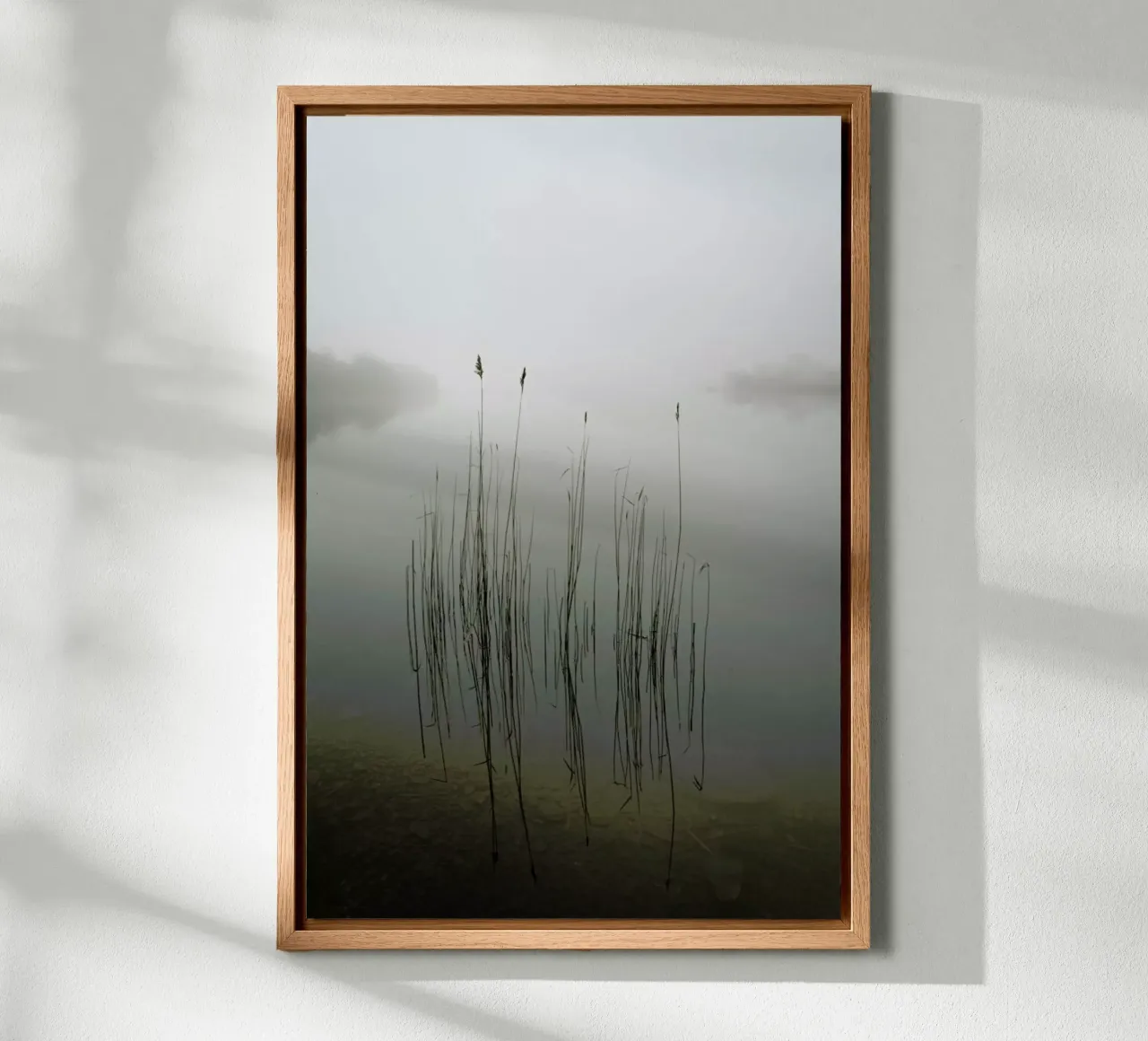 Reeds in The Mist - David Ahern alluminio dibond da Pictufy