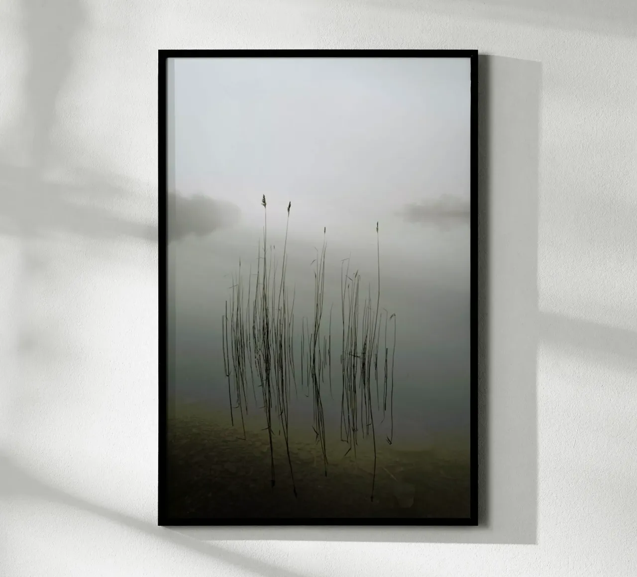 Reeds in The Mist - David Ahern carta hahnemühle da Pictufy