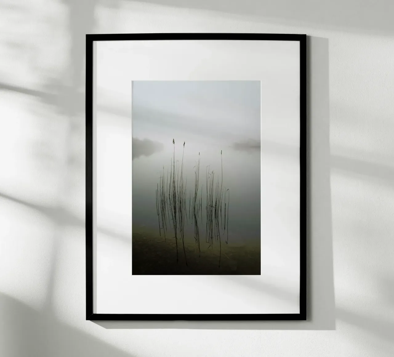 Reeds in The Mist - David Ahern carta hahnemühle da Pictufy