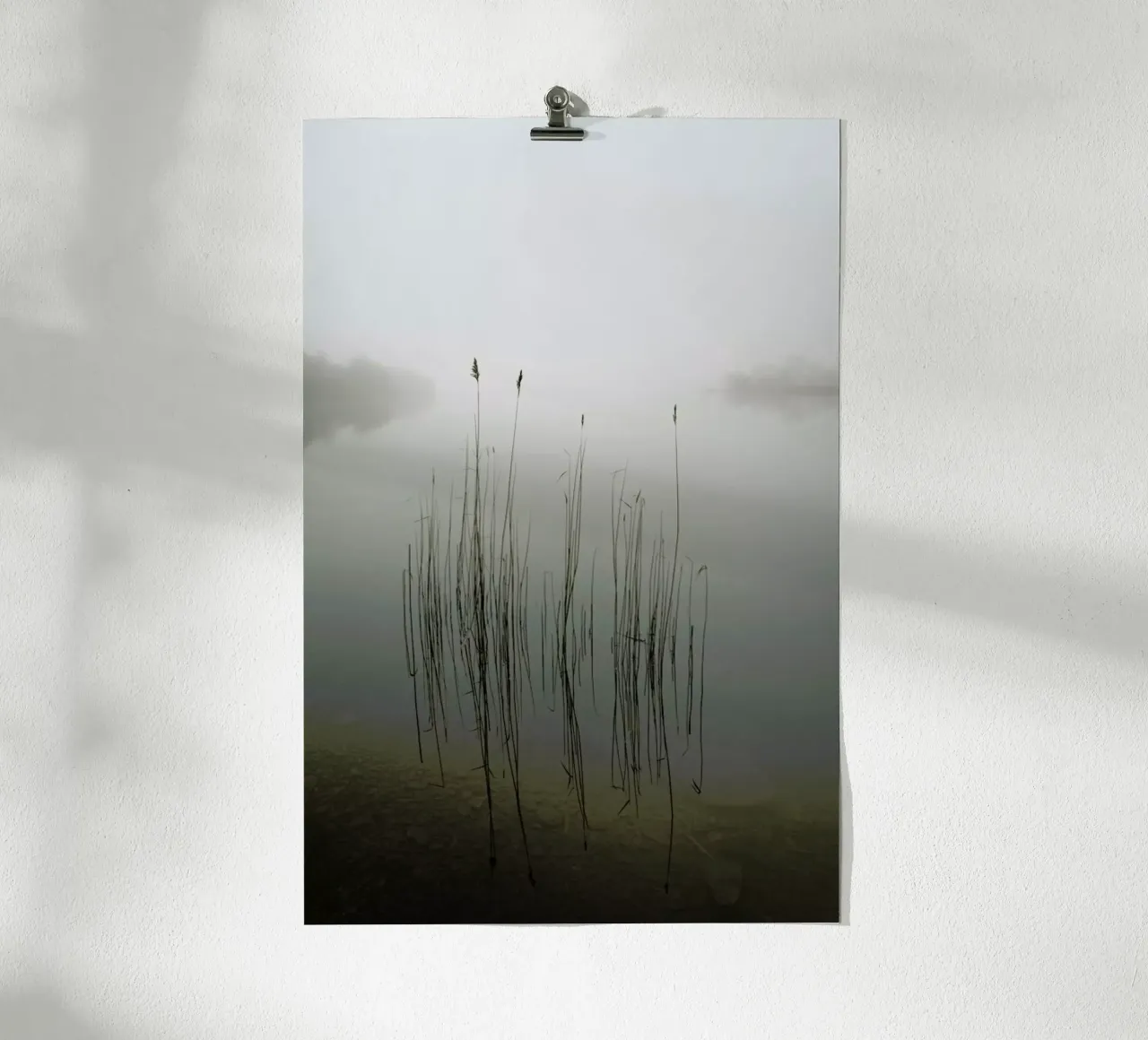 Reeds in The Mist - David Ahern carta hahnemühle da Pictufy
