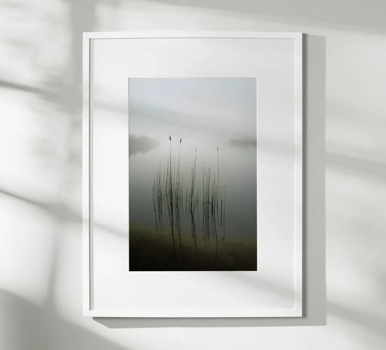 Reeds in The Mist - David Ahern carta hahnemühle da Pictufy