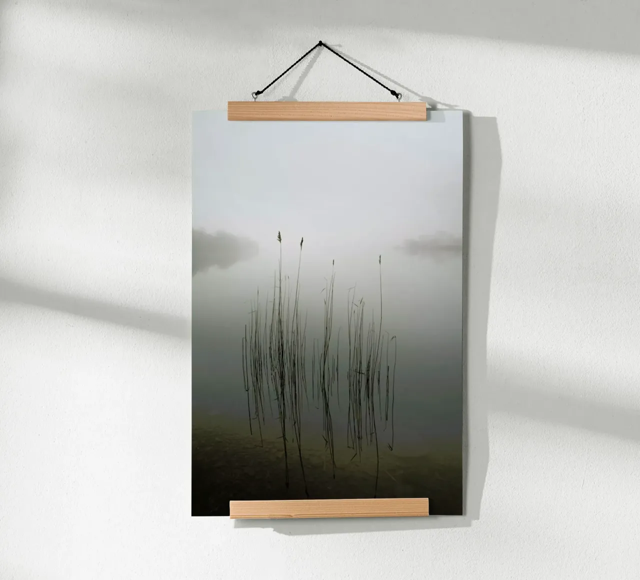 Reeds in The Mist - David Ahern carta hahnemühle da Pictufy