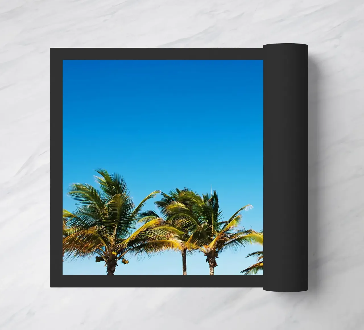 Palme zerbino da Matthew Katz