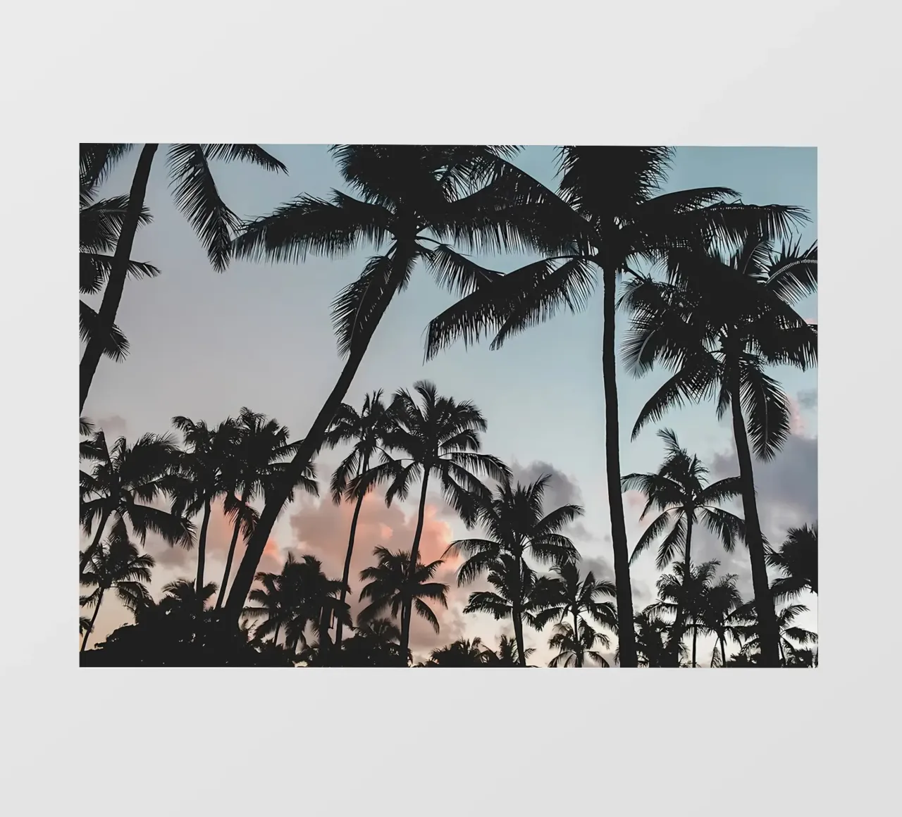 Tramonto sulle palme telo in pvc da Matthew Katz