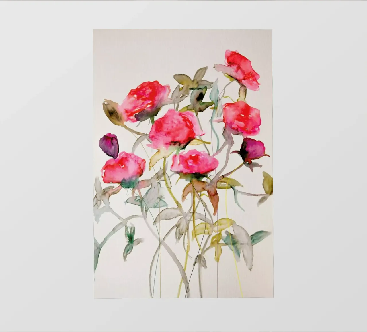 Rosa pellicola backlit da Leigh Viner