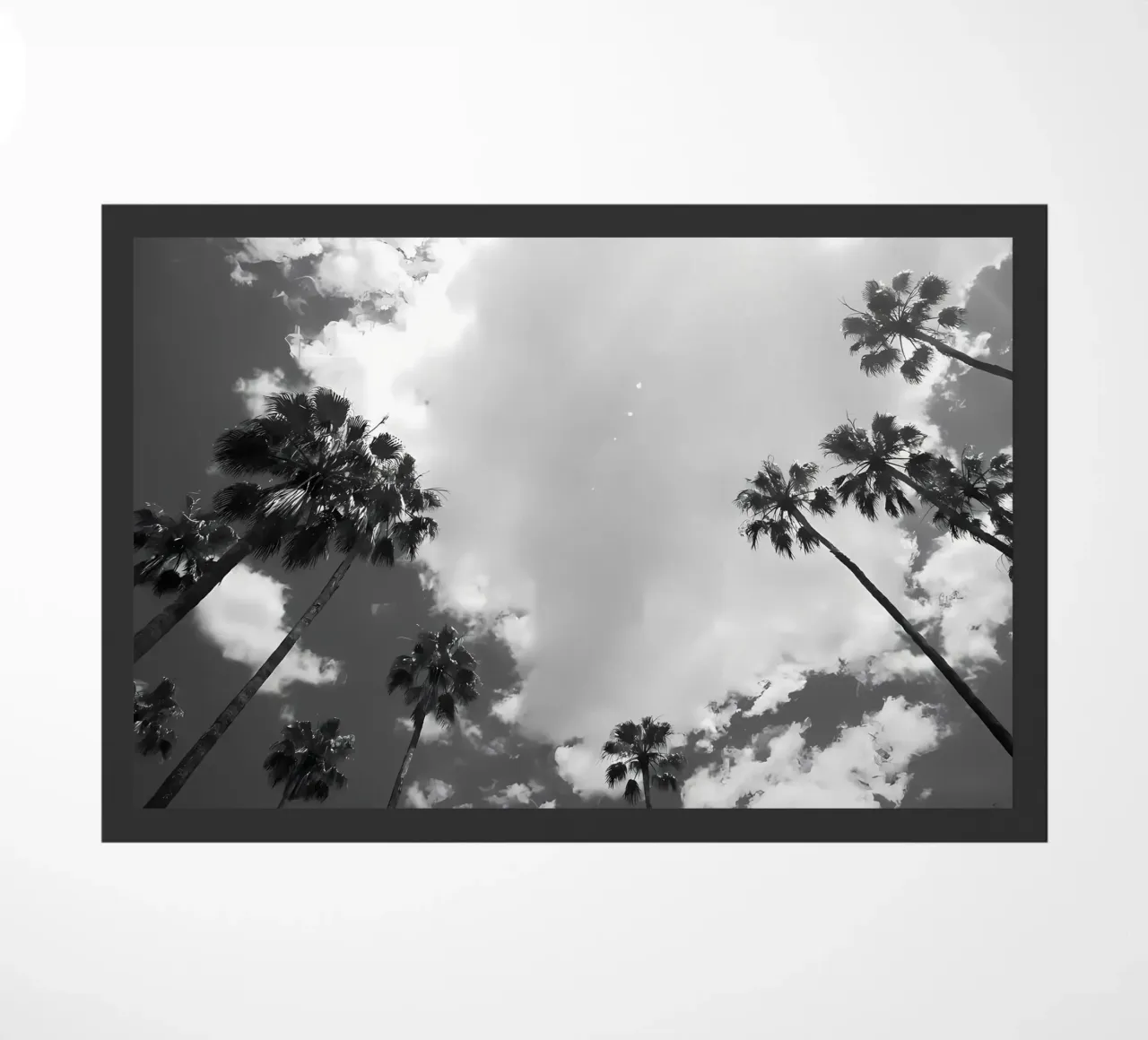 Under the Palm Trees 14 doormat by Matthew Katz