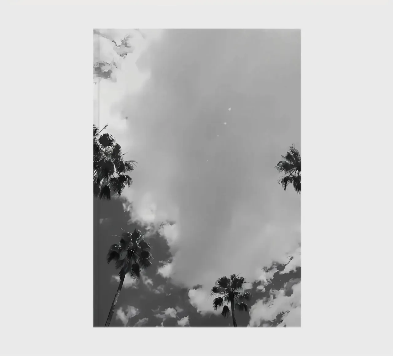 Under the Palm Trees 14 notebook by Matthew Katz