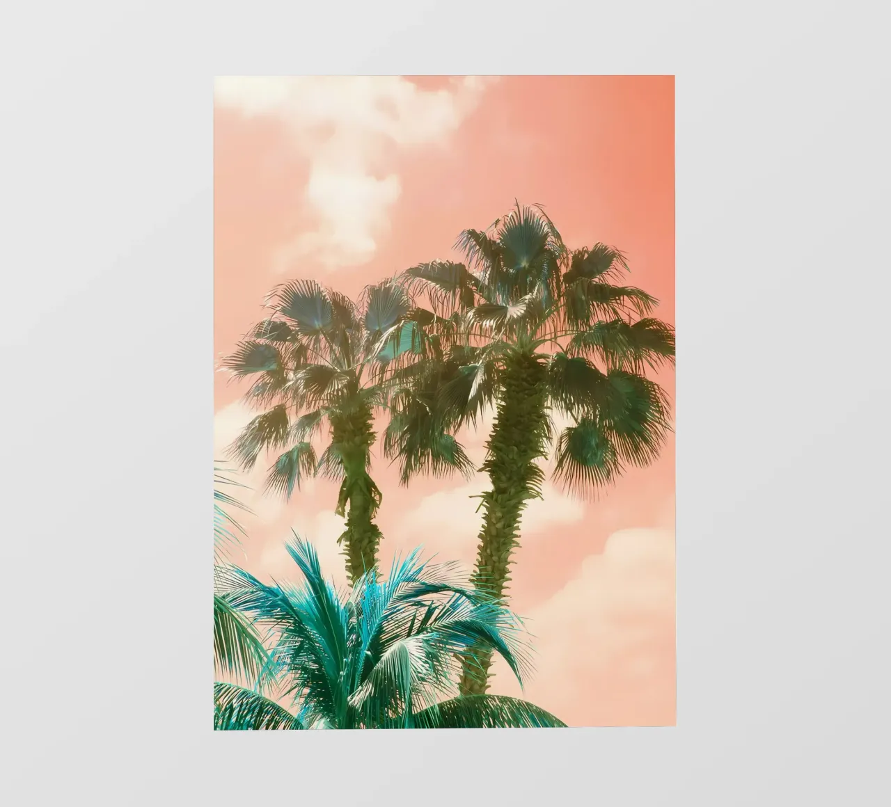 Palme Summer Vibes 2 pellicola backlit da Matthew Katz