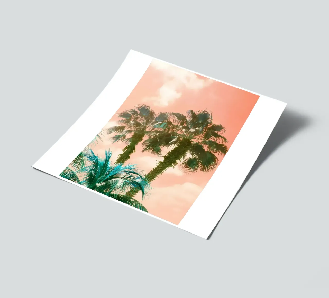 Palm Trees Summer Vibes 2 sticker sheet by Matthew Katz