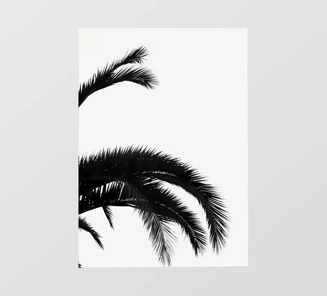 Palmleafs BW telo in pvc da Matthew Katz
