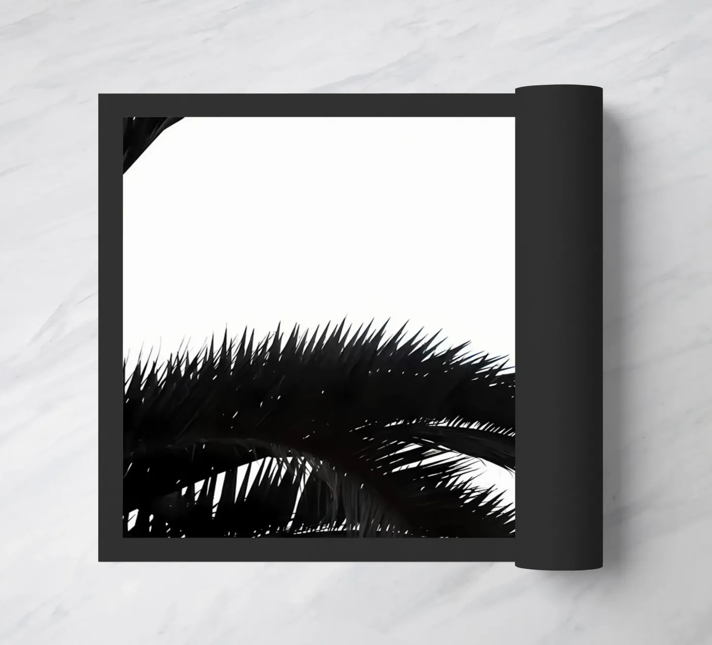 Palmleafs BW zerbino da Matthew Katz