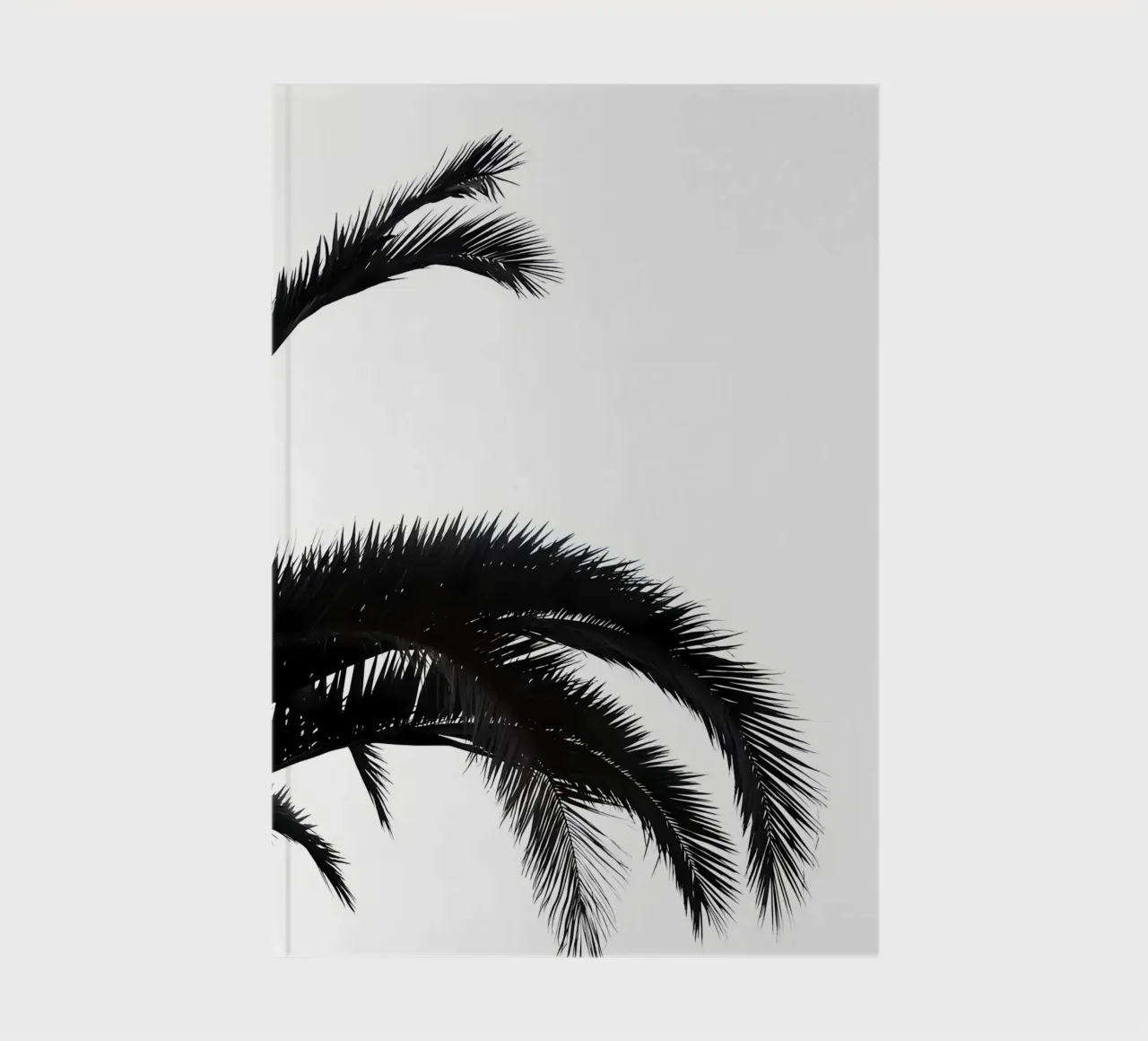 Palmleafs BW notebook by Matthew Katz
