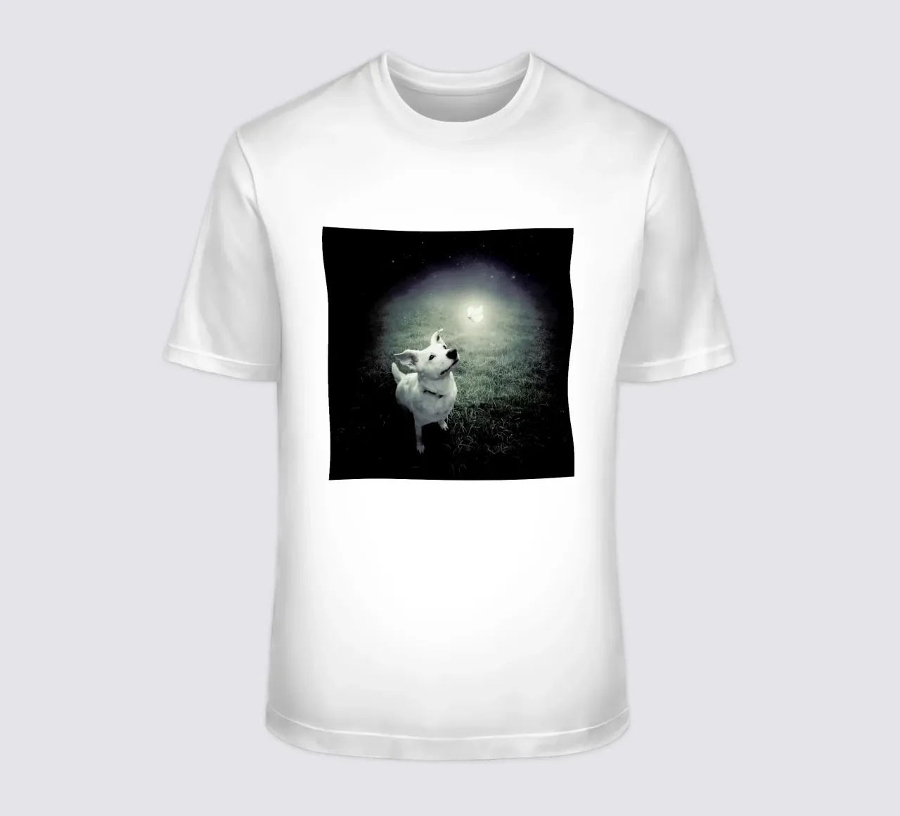 pa 2014-01 t-shirt da Sarolta Bán