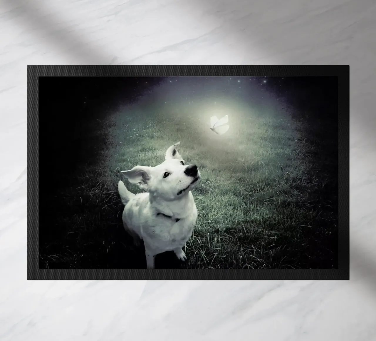 pa 2014-01 zerbino da Sarolta Bán