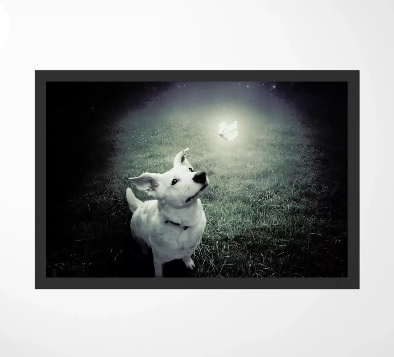 pa 2014-01 zerbino da Sarolta Bán