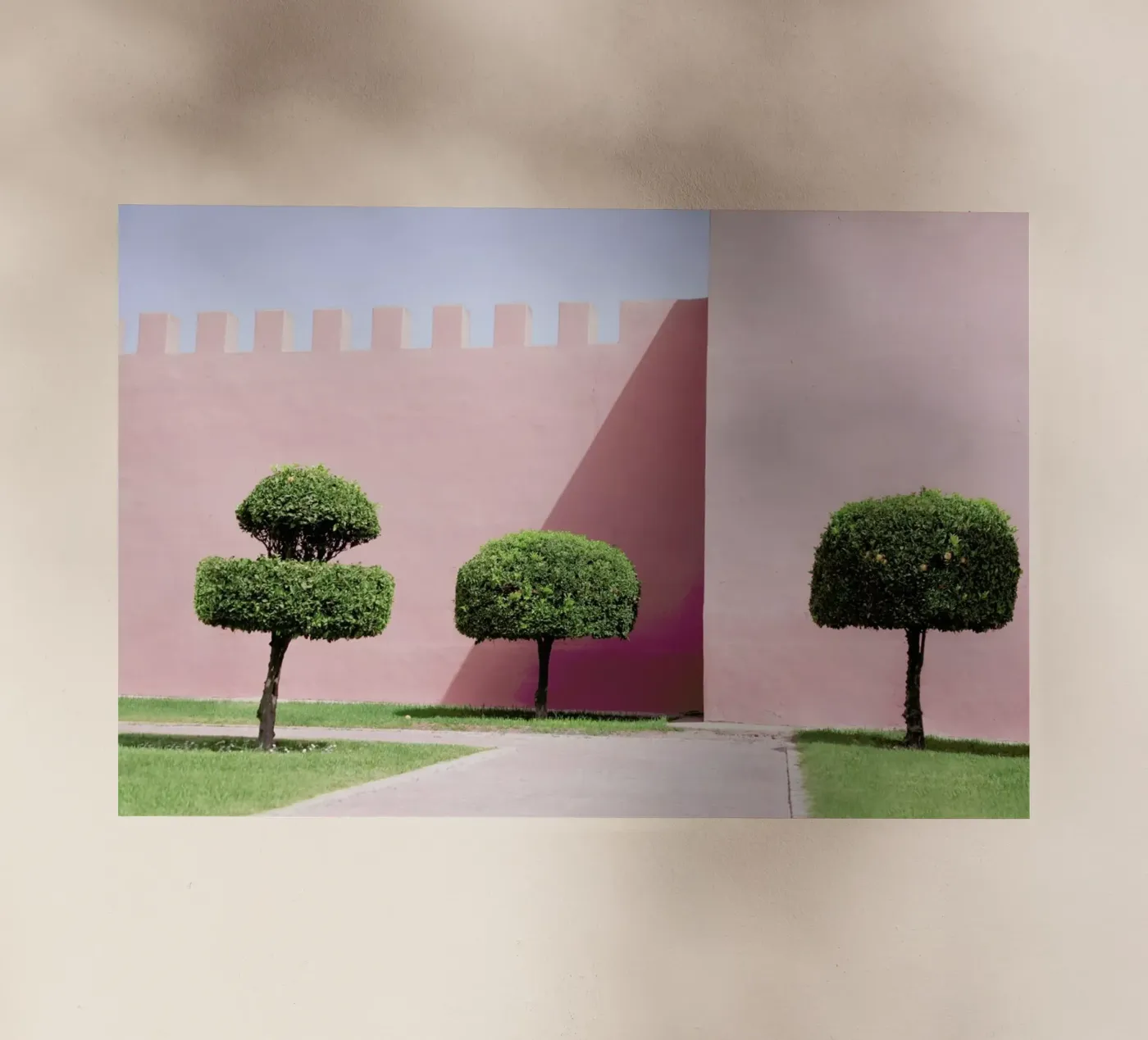 Three Trees backlit folie van Rupert Höller