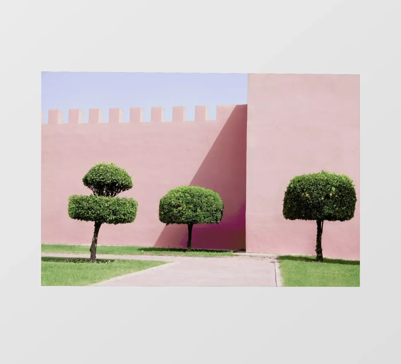 Three Trees telo in pvc da Rupert Höller