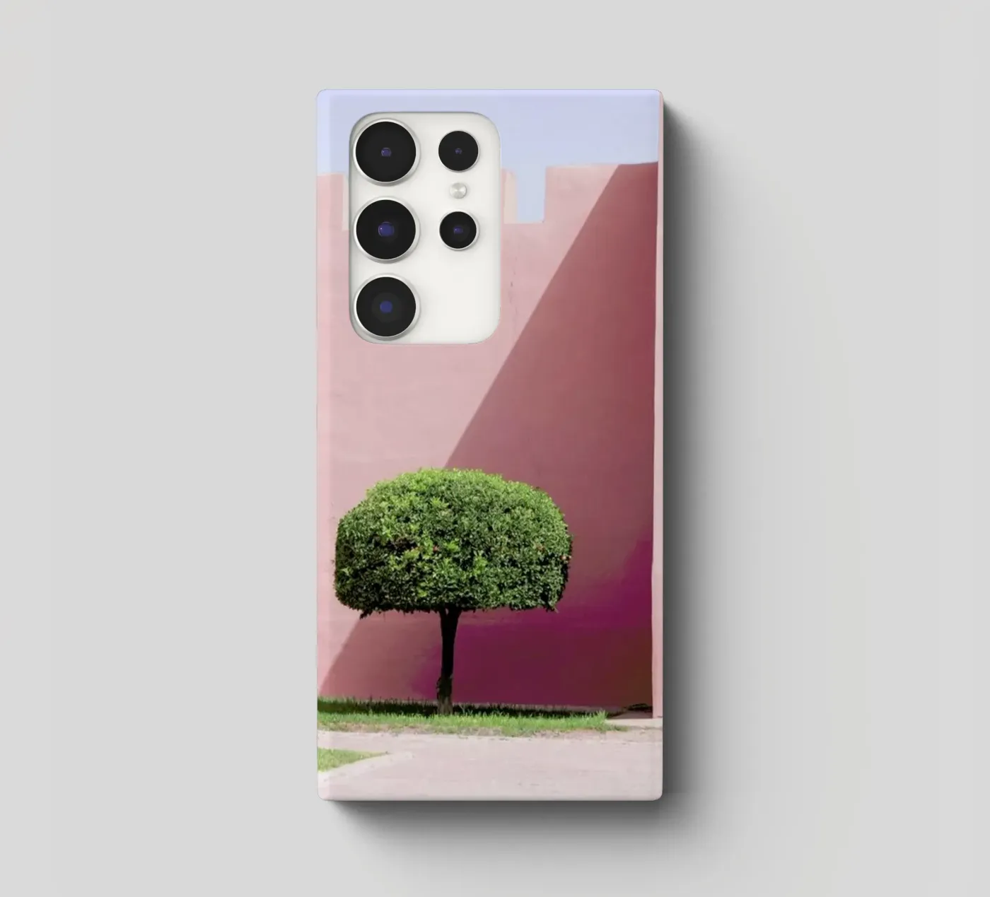 Three Trees cover samsung da Rupert Höller