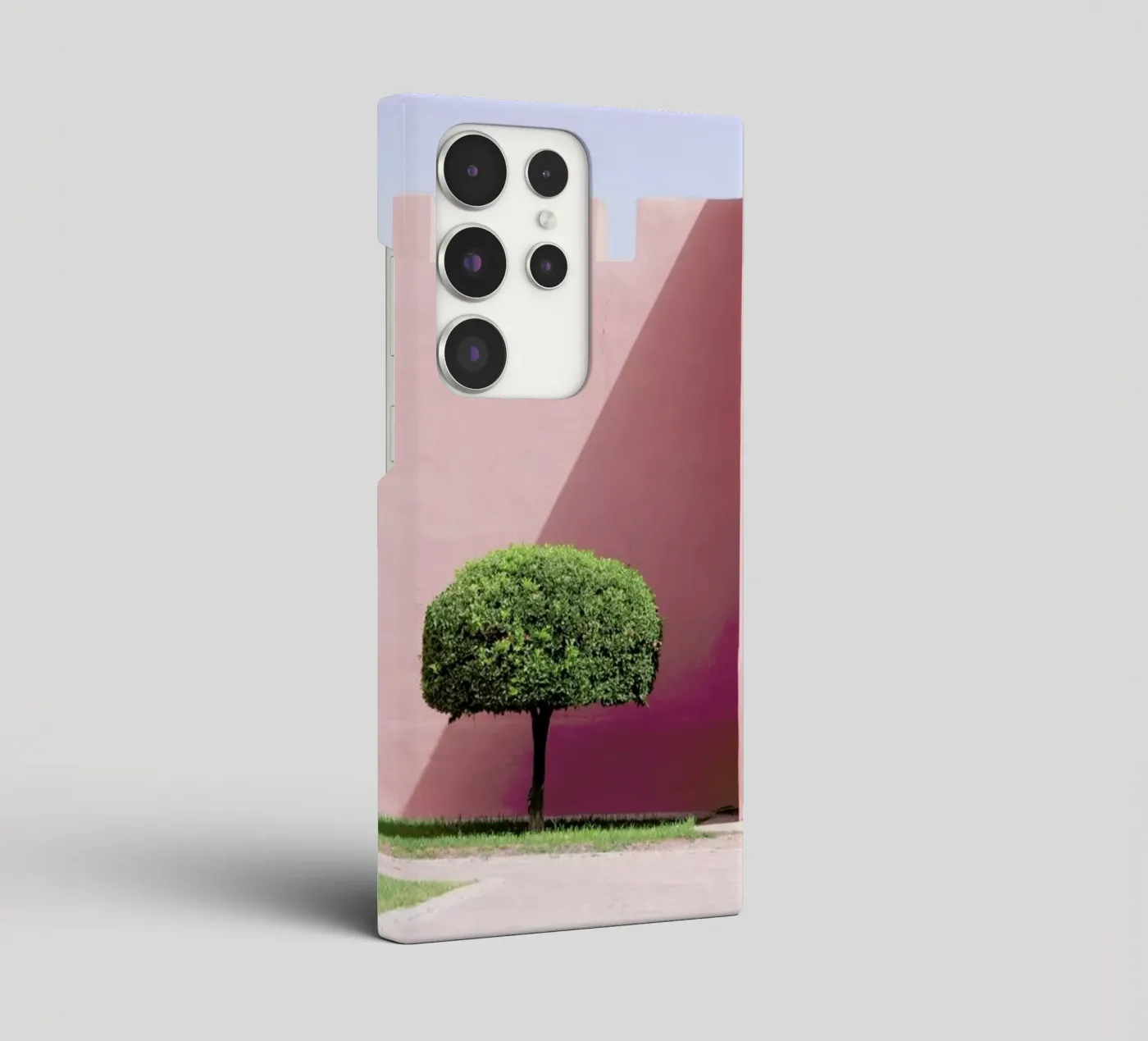 Three Trees cover samsung da Rupert Höller