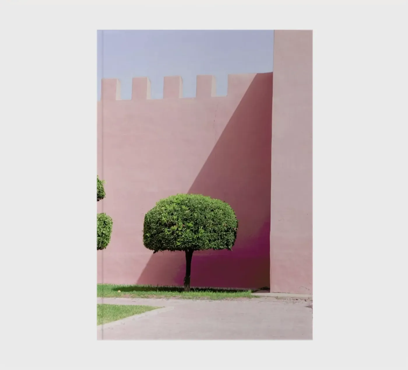 Three Trees notebook by Rupert Höller