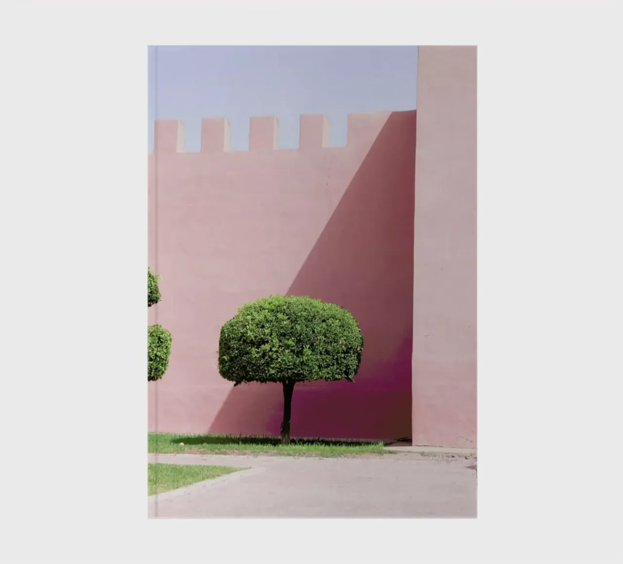 Three Trees notebook by Rupert Höller