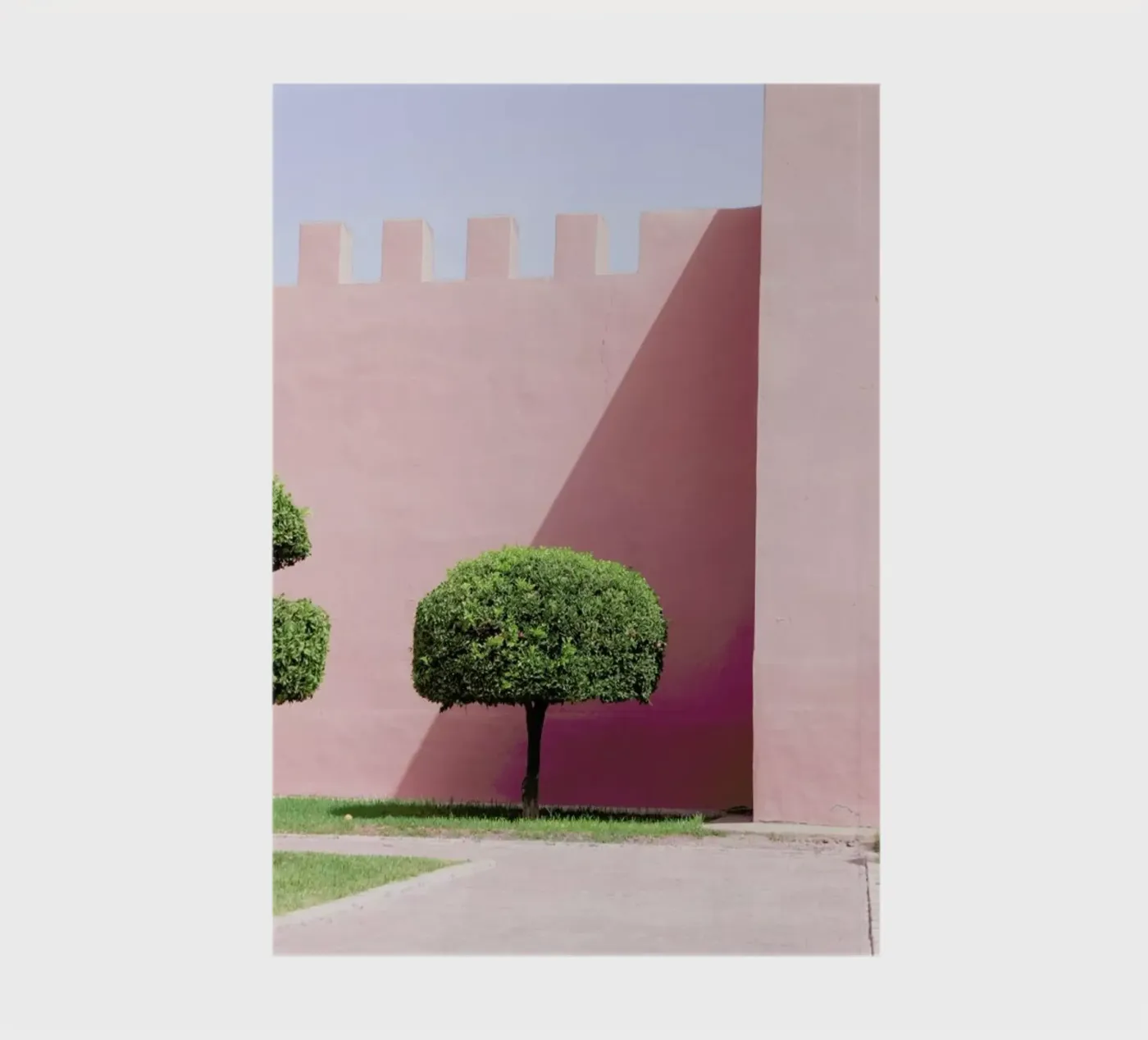 Three Trees notebook by Rupert Höller
