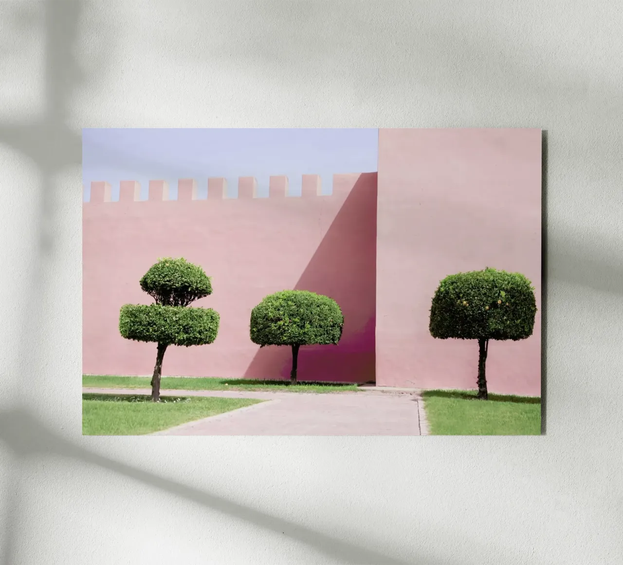 Three Trees alluminio dibond da Rupert Höller