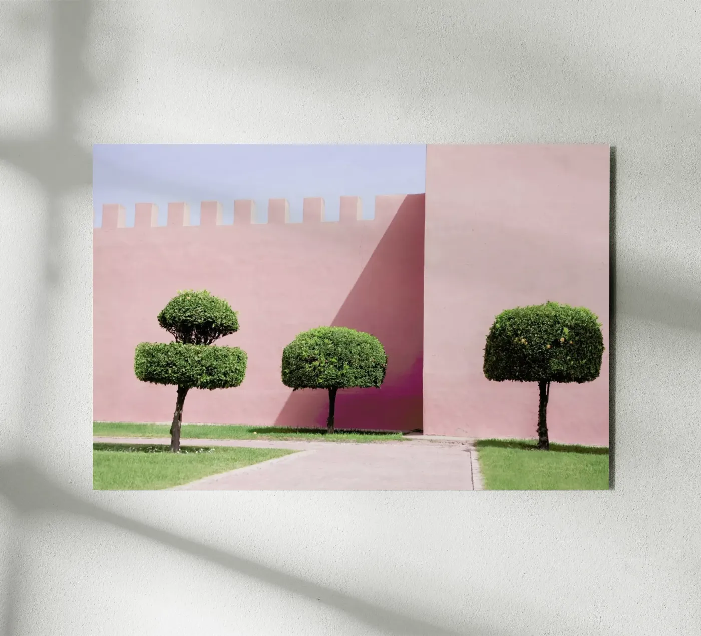 Three Trees forex plate by Rupert Höller