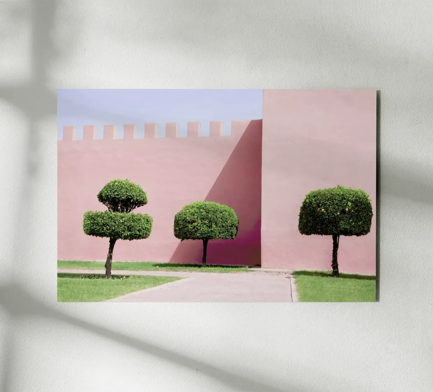 Three Trees alluminio dibond da Rupert Höller