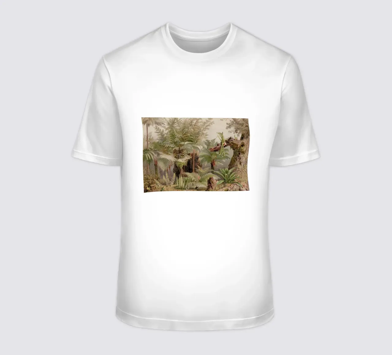 Farne Natur Crop Lowres t-shirt da Astër