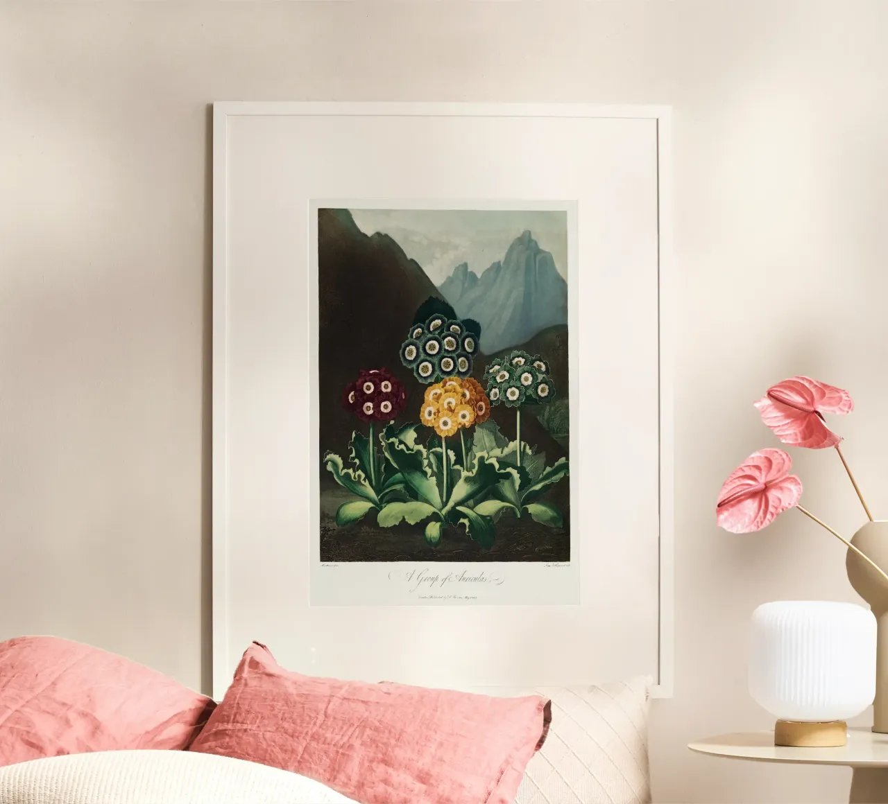 Robert John Thornton - A Group of Auriculas 01 poster with wooden frame by Old Masters