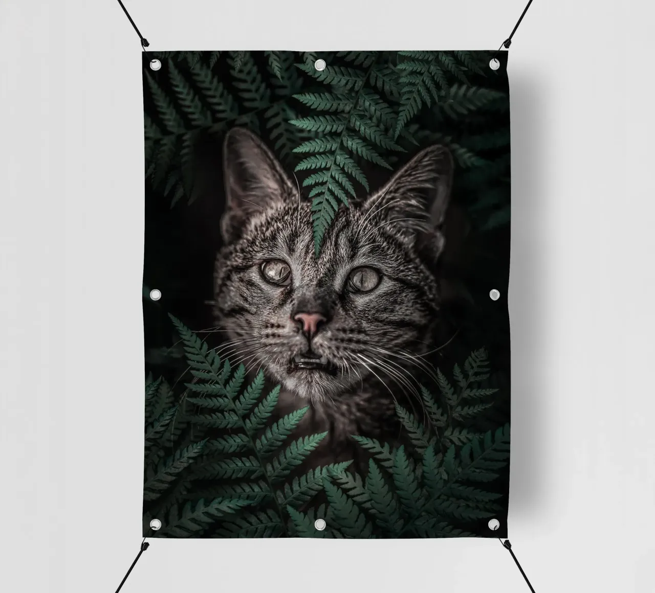 Meow Cat in Felci telo in pvc da arizrab