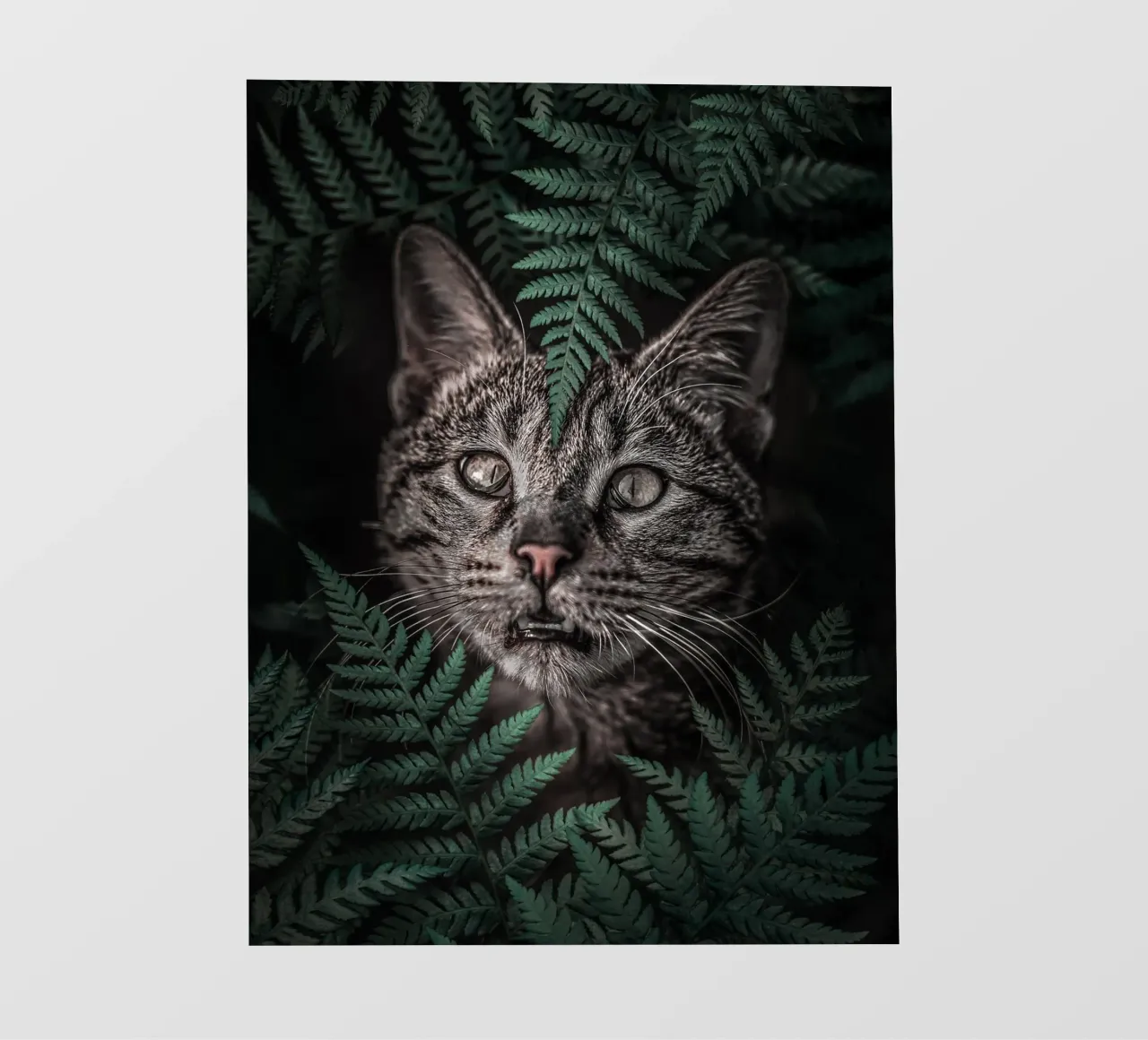 Meow Cat in Felci telo in pvc da arizrab