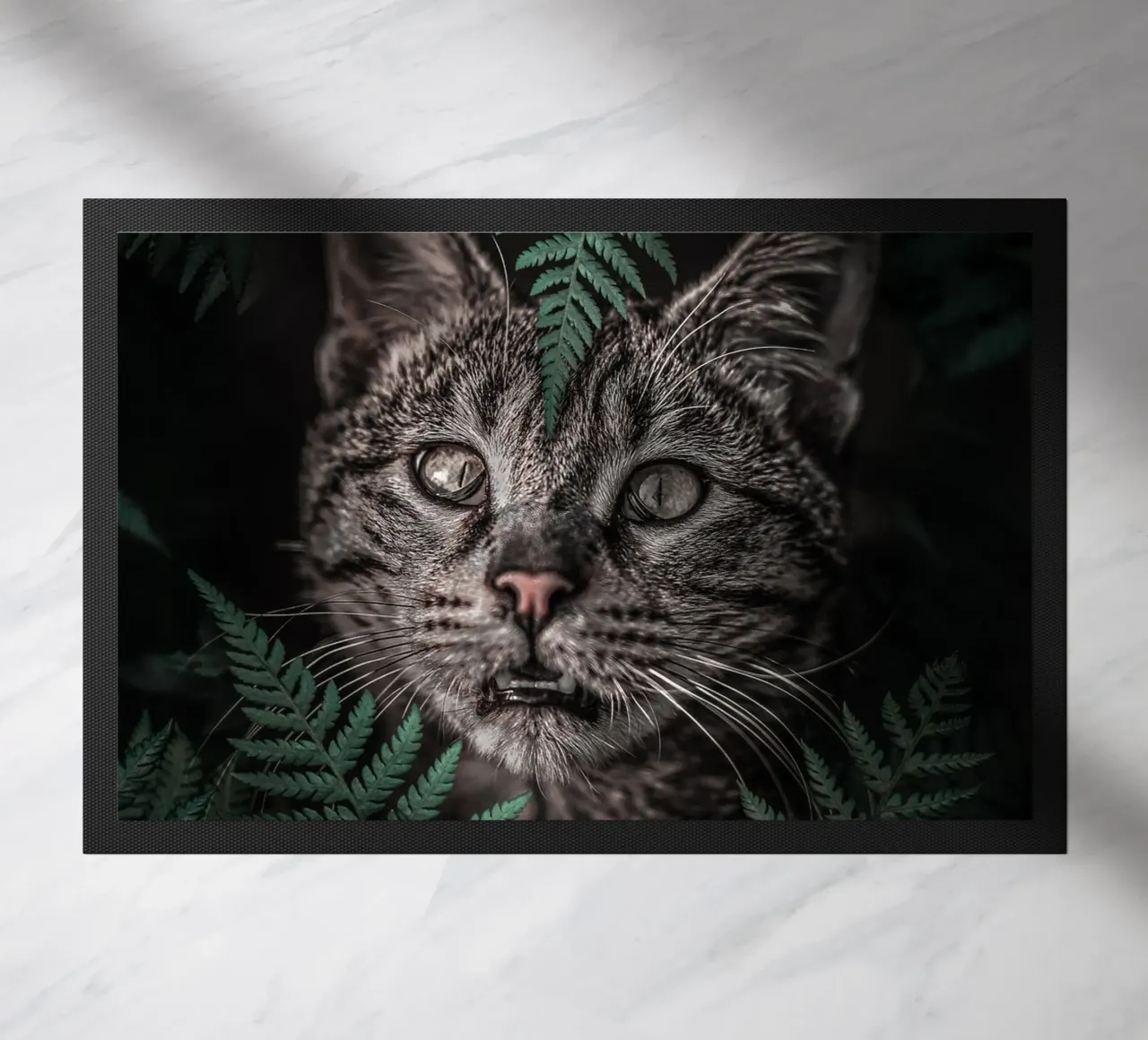 Meow Cat in Felci zerbino da arizrab